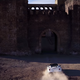 Image for article titled Every Cool Detail We Spotted In The Grand Tour's Launch Trailer